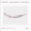 Download track 2. Sonate Nr. 5 C-Moll Op. 10 No. 1: II. Adagio Molto