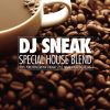 Download track Special House Blend (Continuous DJ Mix)