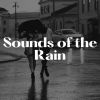 Download track Everlasting Raindrops