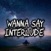 Download track Wanna Say (Interlude)