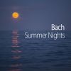 Download track J. S. Bach: Prelude For Lute In C Minor, BWV 999 (Transcr. For Guitar In D Minor)