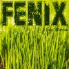 Download track Fenix (Instrumental Mix)