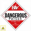 Download track Dangerous Person (Vic's Housed Up Remix)