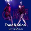 Download track Riverdance (Radio Edit)