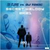 Download track Secret Melody 2k21 (Casaris Remix)