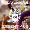 Download track Ibiza-Unique Essentials, Vol. 1 (Mixed By Discey) - Part, Two - Continuous DJ Mix