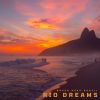 Download track Brazilian Bossa Nova