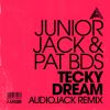 Download track Tecky Dream (Extended Mix; Audiojack Remix)