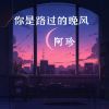 Download track 你是路过的晚风