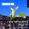 Download track Renewed Light