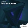 Download track Into The Sunrise (Original Mix)