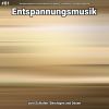 Download track Entspannungsmusik Teil 88