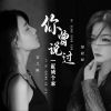 Download track 你曾说过一起成个家 (DJ彭锐版伴奏)