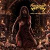 Download track Extintion Of Human Violence