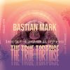 Download track The True Tortoise (Peter Bozsa Remix)