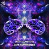 Download track DMT Experience