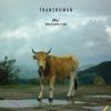 Download track Transhuman