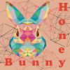 Download track Call (Honey Bunny Dub Remix)