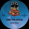 Download track In My Soul (Extended Mix)