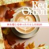 Download track Cafe And Book Autumn