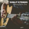 Download track Gentle Sunset