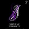 Download track Summer Breeze (B. Bone Remix)