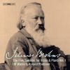 Download track Sonata In F Minor, Op. 120 No. 1: III. Allegretto Grazioso