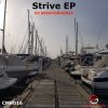 Download track Strive (Original Mix)