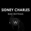 Download track Raw Rhythm (Original Mix)