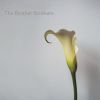 Download track The Calla Lily Song