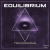 Download track Equilibrium