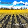 Download track Perfect Colours