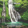 Download track Quiet Music, Pt. 5