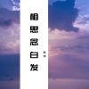 Download track 相思念白发 (伴奏)