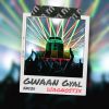 Download track Gwaan Gyal (Diagnostix Remix)