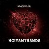 Download track NGYAMTHANDA