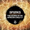 Download track The Scars Of An African Child