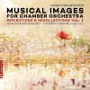 Download track Ripples On Still Water (Orch. M. J. Saliba For Chamber Orchestra)