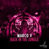 Download track Back In The Jungle (Original Mix)