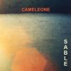 Download track SABLE 09