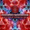 Download track Chaotic-Om (Morphic Resonance Rmx)