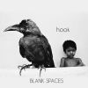 Download track Blank Spaces