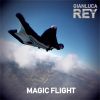 Download track Magic Flight