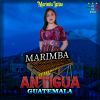 Download track Olguita