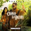 Download track Como Lo Indio By Nico Clinico