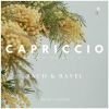 Download track Capriccio In B-Flat Major BWV 992: VI. Fugue All Imitazione Della Cornetta Di Postiglione