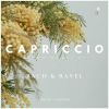 Download track Capriccio In B-Flat Major, BWV 992: III. Adagissimo