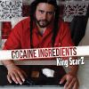 Download track Cocaine Ingredients (Instrumental)