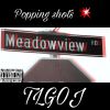 Download track Popping Shots