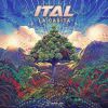 Download track Humanity (Ital Remix)